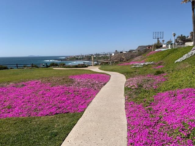 Beachfront Condo W Pools Steps To Beach & Mins To Dt Rosarito Eksteriør bilde