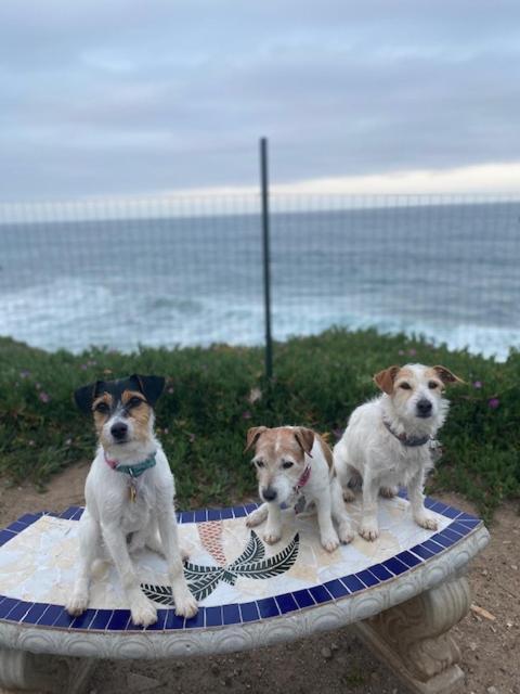 Beachfront Condo W Pools Steps To Beach & Mins To Dt Rosarito Eksteriør bilde